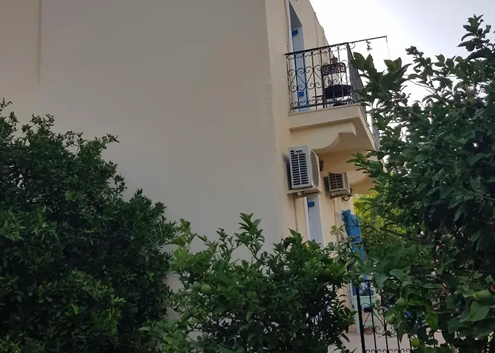 Panormos-nice With Row Of Trees *